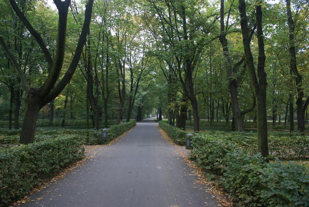 Lazienki Park in Warsaw Lazienki Park in Warsaw