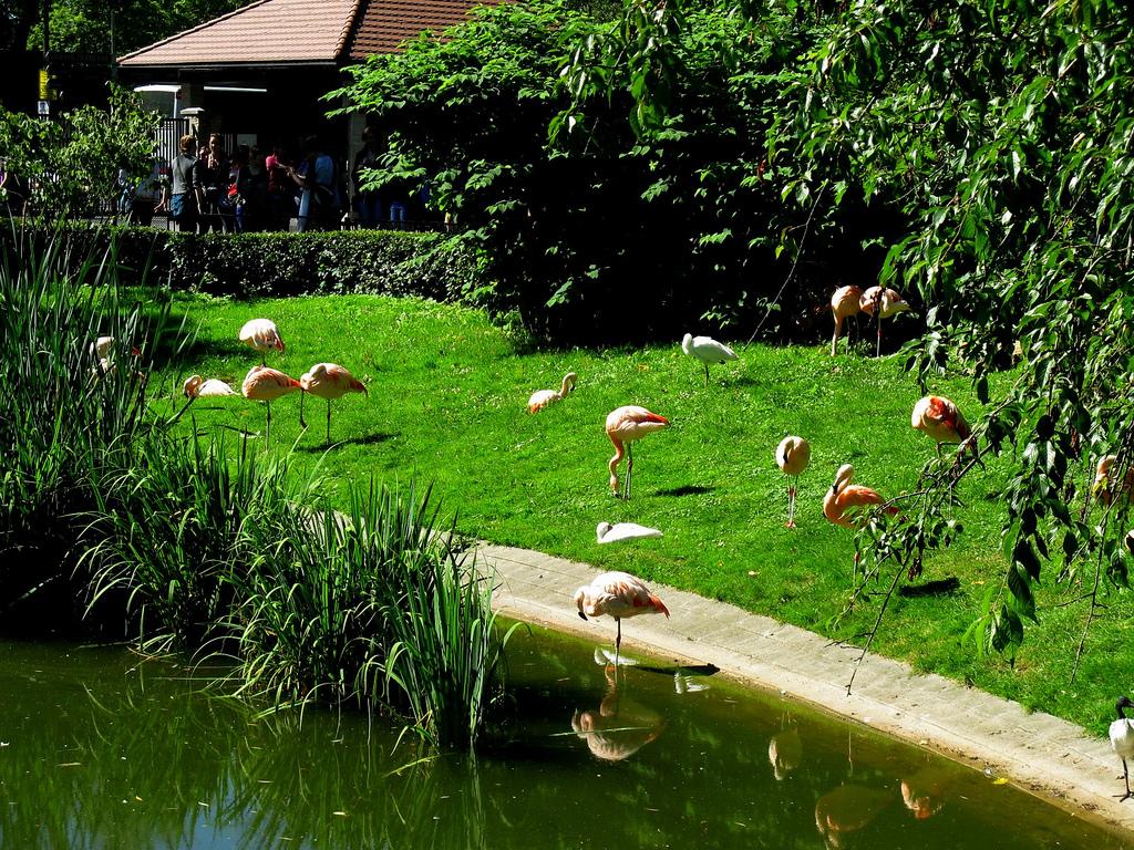 Warsaw Zoological Garden