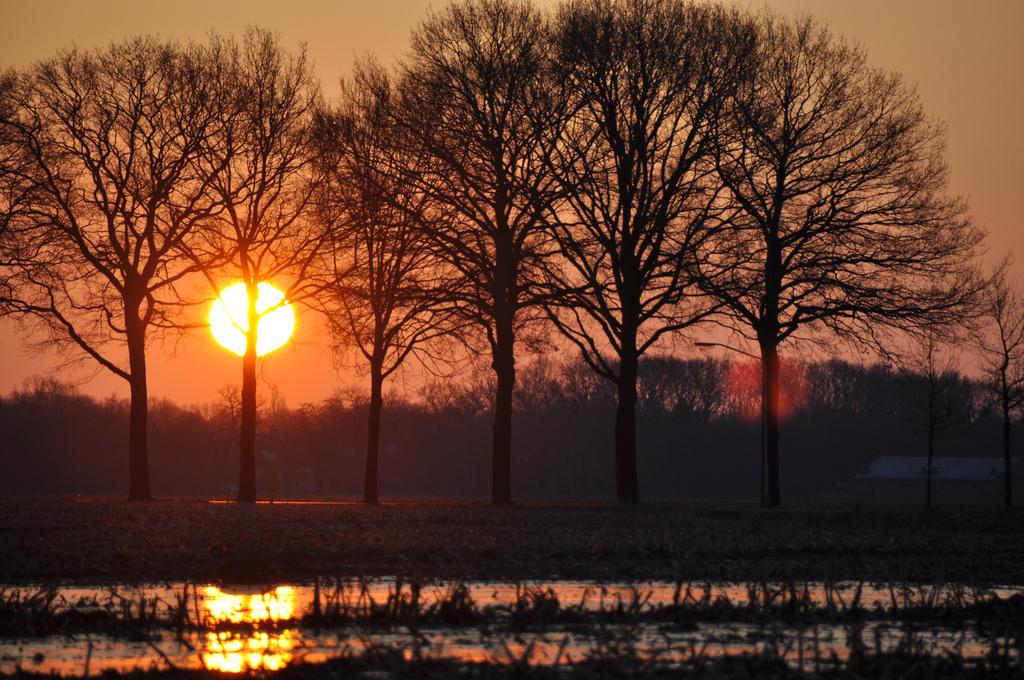 Beautiful sunrise from The Netherlands Beautiful sunrise from The Netherlands