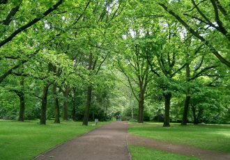 Tiergarten Parc