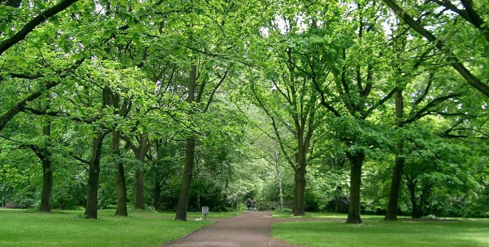 Tiergarten Parc
