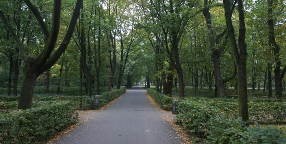 Lazienki Park in Warsaw