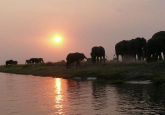 African Safari Preparation, Where To Go?