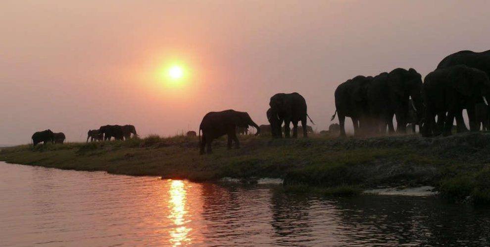 African Safari Preparation, Where To Go?