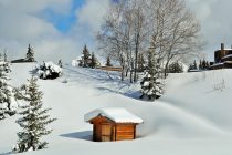 Ski holidays in Courchevel 1850, France