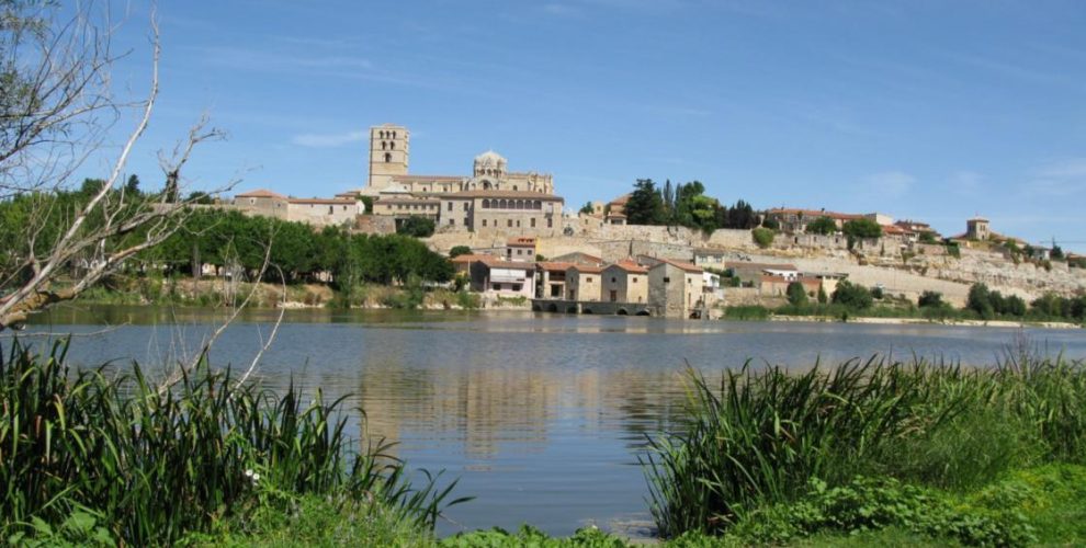 Zamora, Beautiful Small Town To Visit in Spain